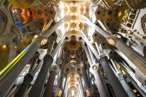 Skip the Line: Best of Barcelona Half day Tour including Sagrada Familia