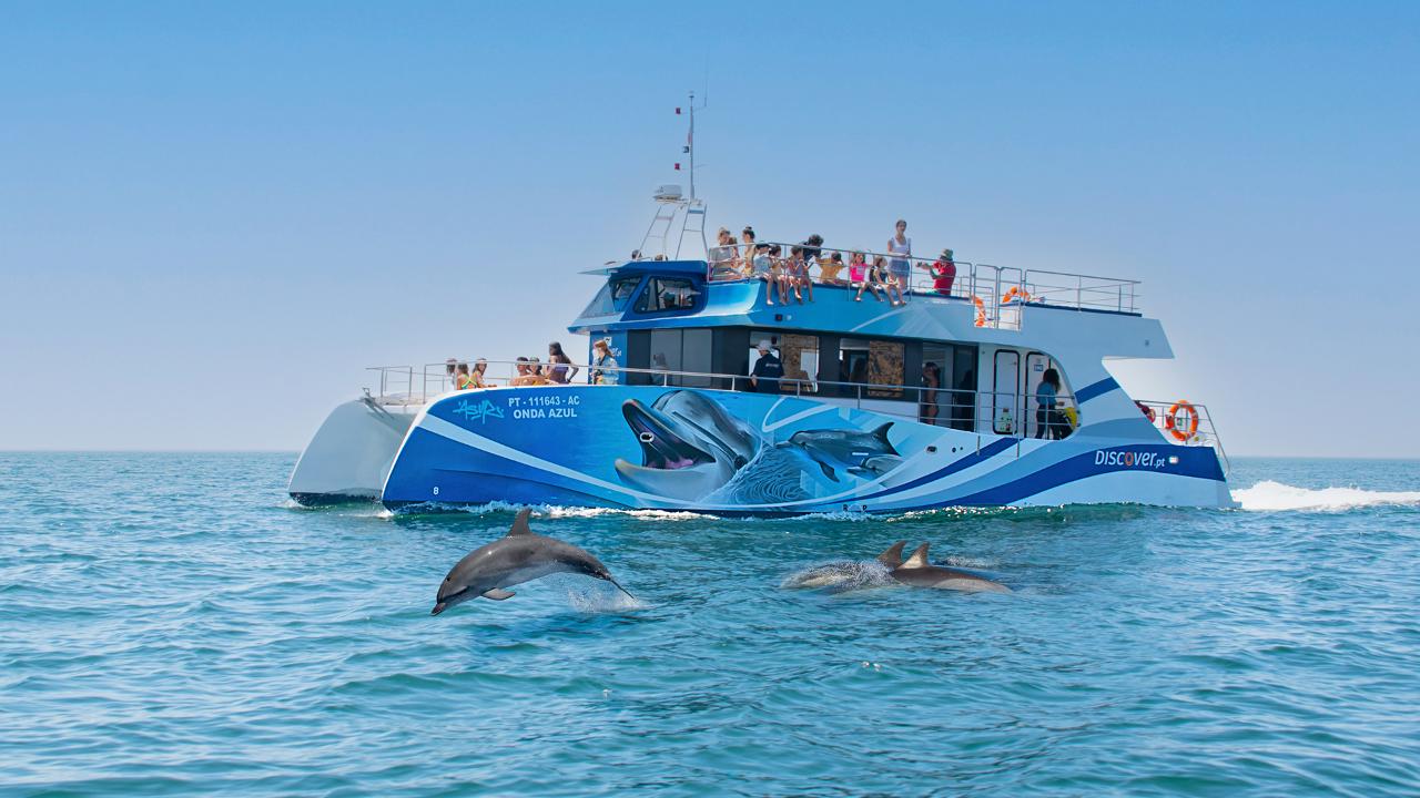 Dolphin Watching Half Day Cruise