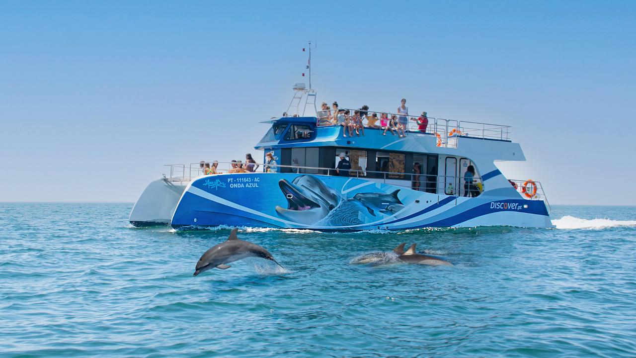 Curious dolphins gleefully obsess over aquarium worker's mopping skills