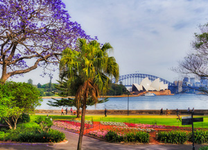 Jacaranda Cruise 2021