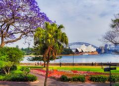 Jacaranda Cruise 2023