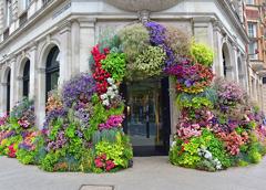 Chelsea Flower Show & the Gardens of England