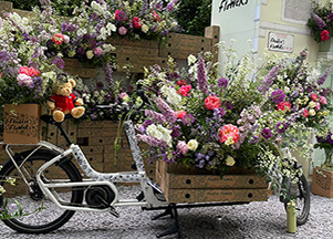 Chelsea Flower Show & the Gardens of England