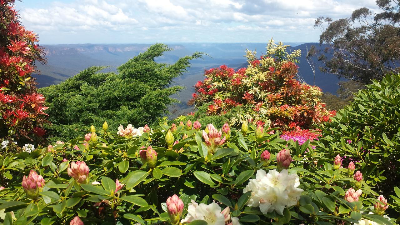 Leura Gardens Festival Day Tour