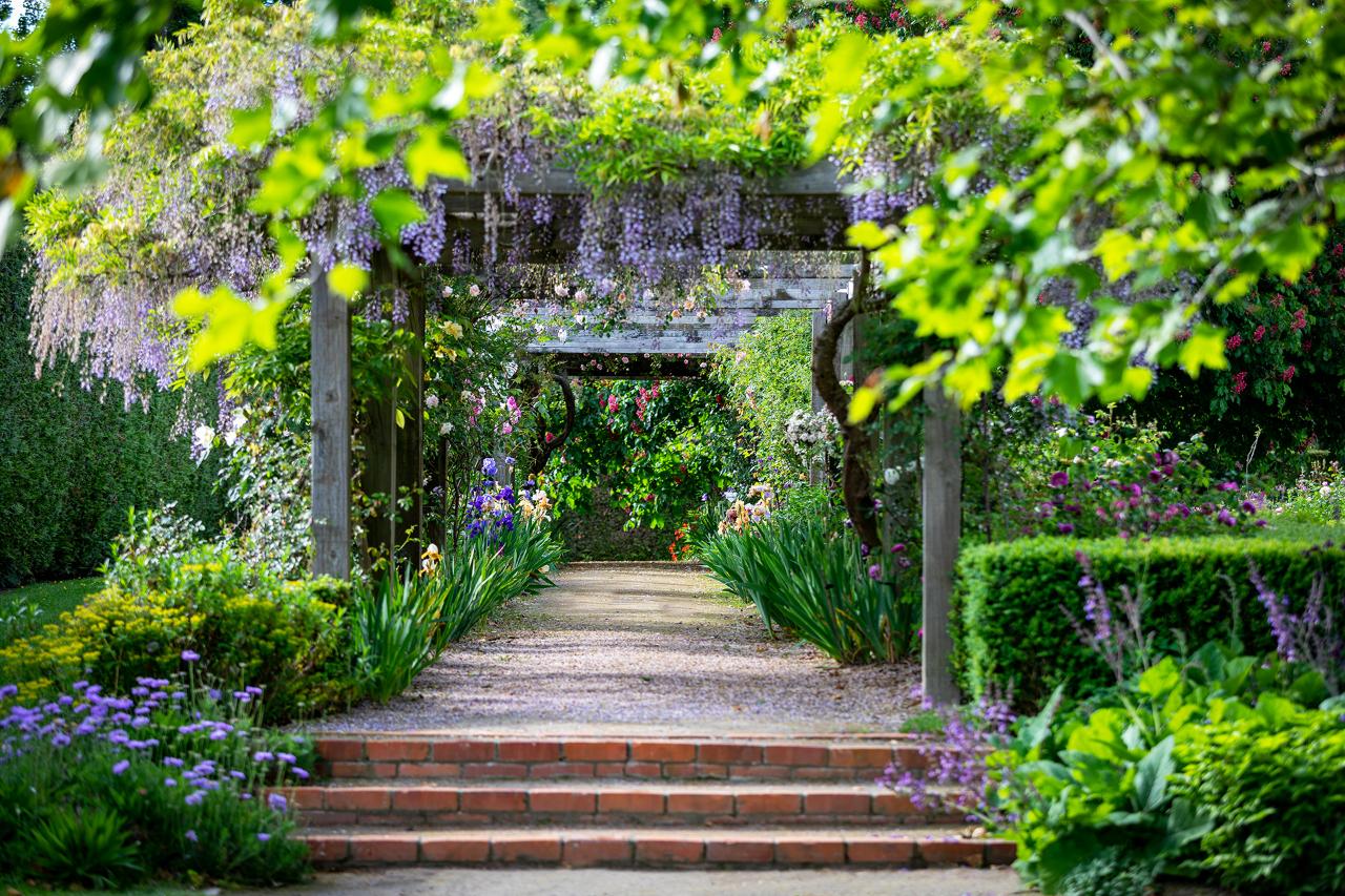 Spring Gardens of New Zealand & the Taranaki Garden Festival