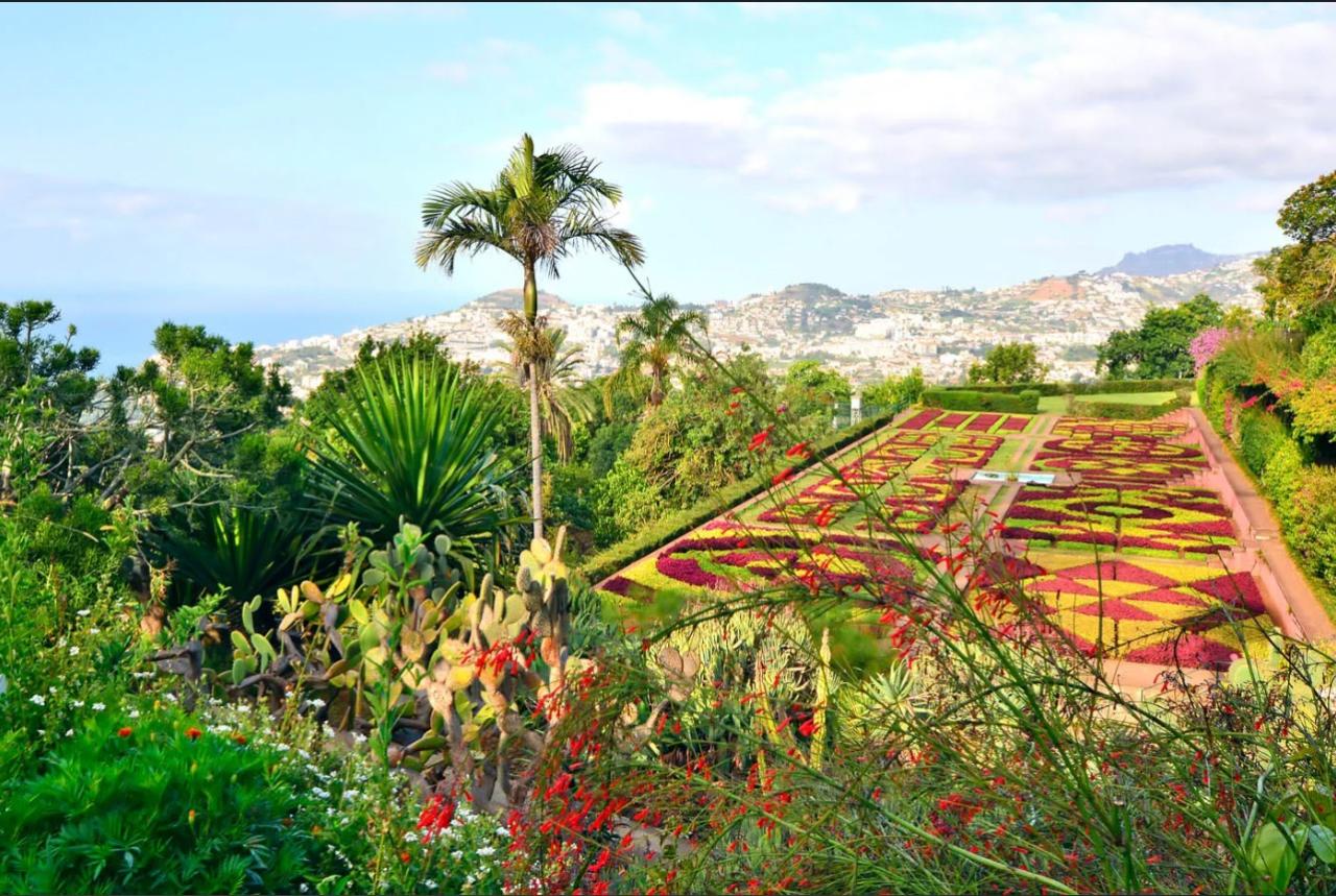 Madeira Flower Festival & Portugal