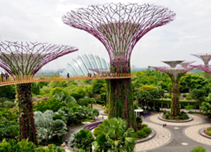 Gardens of Singapore