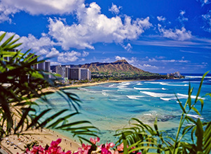 Tropical Gardens Of Hawaii With Graham Ross