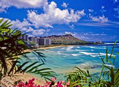 Tropical Gardens Of Hawaii With Graham Ross