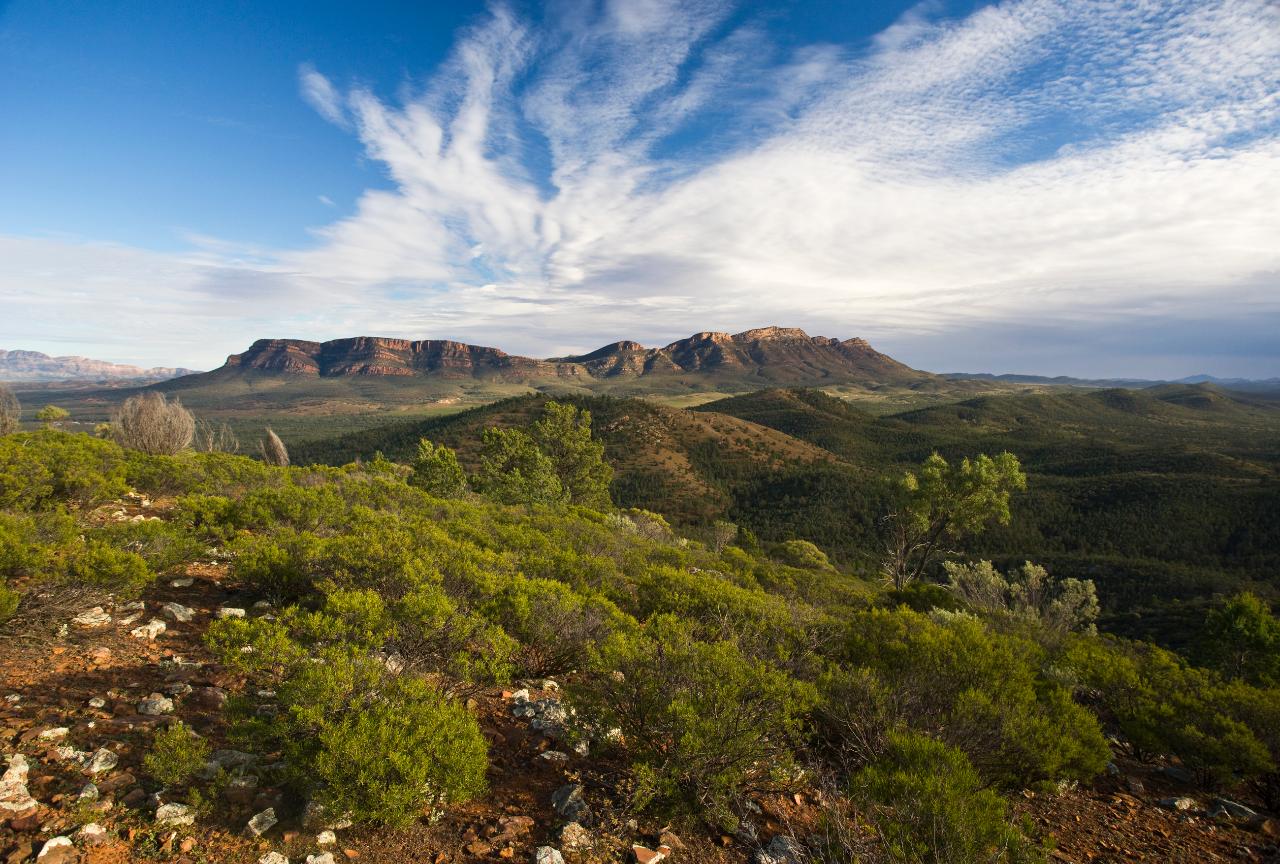 Flinders Ranges