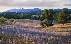 Flinders Ranges