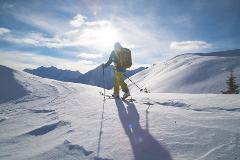 Revelstoke RMR Backcountry or Rogers Pass Private Guide 