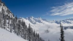Rogers Pass Private Tour