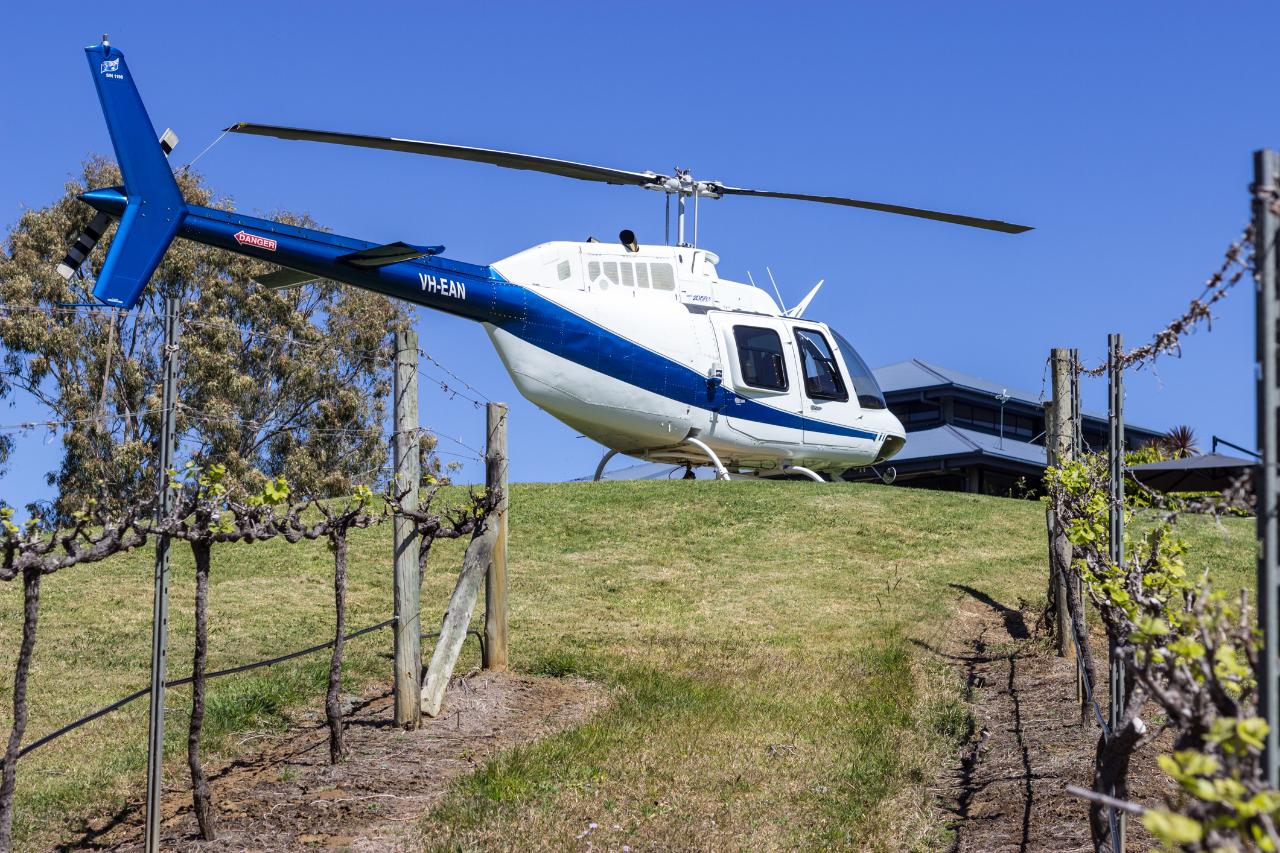 Ocean View Winery - (Group of 3)