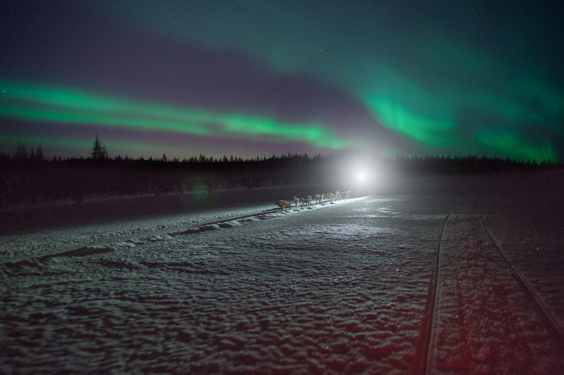 Kiruna - Northern light husky hunt