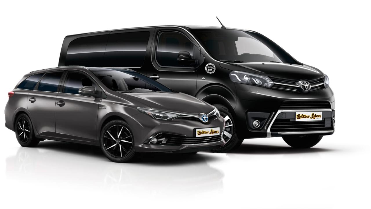 TRANSFER IN & OUT // 10PM - 07AM (LISBON AREA ONLY)