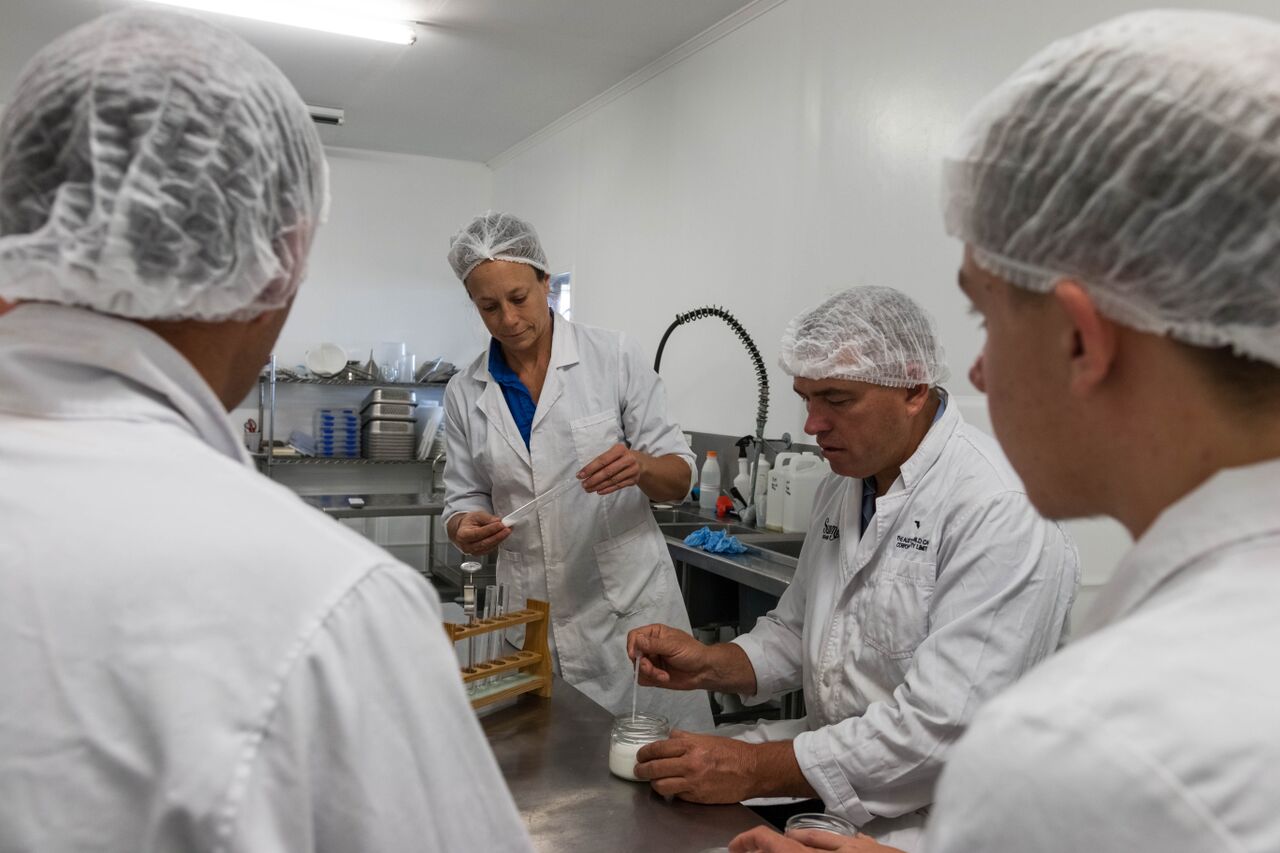 Camel Farm Lab Experience