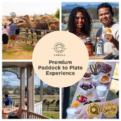 Premium Paddock to Plate Experience