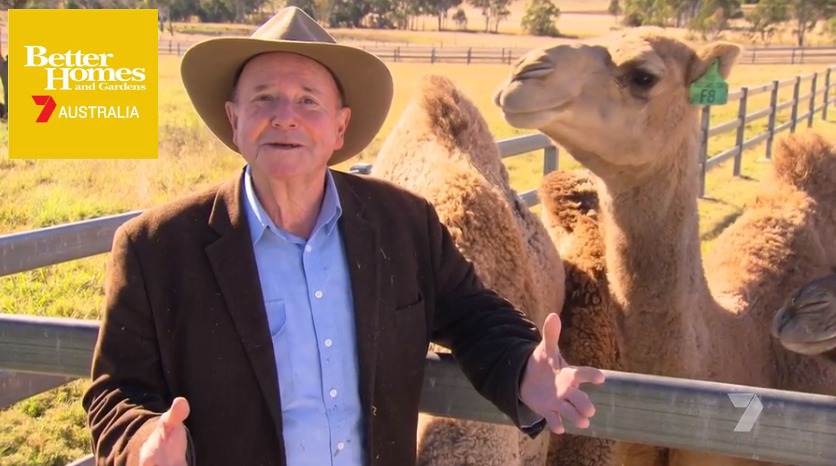 Better Homes and Gardens - Camel Farm Experience