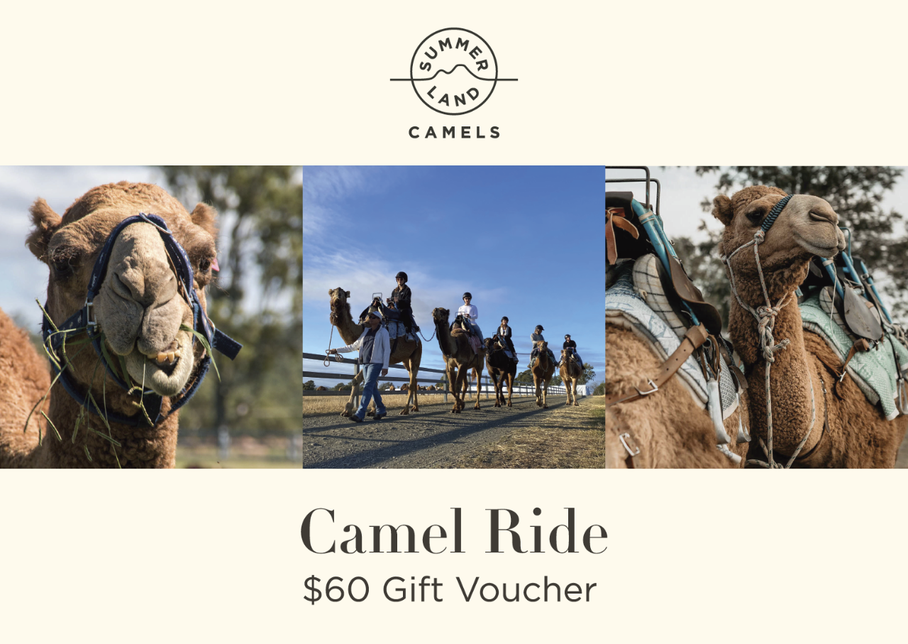 Gift Card - Camel Ride