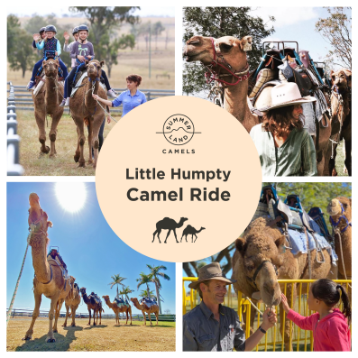 Little Humpty Camel Ride