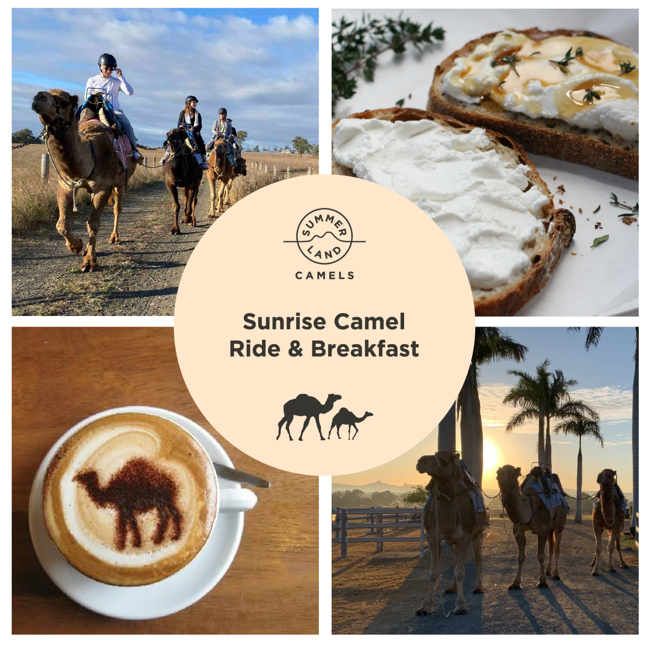 Sunrise Camel Ride & Breakfast