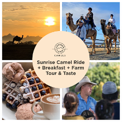 Sunrise Camel Ride + Breakfast + Farm Tour & Taste