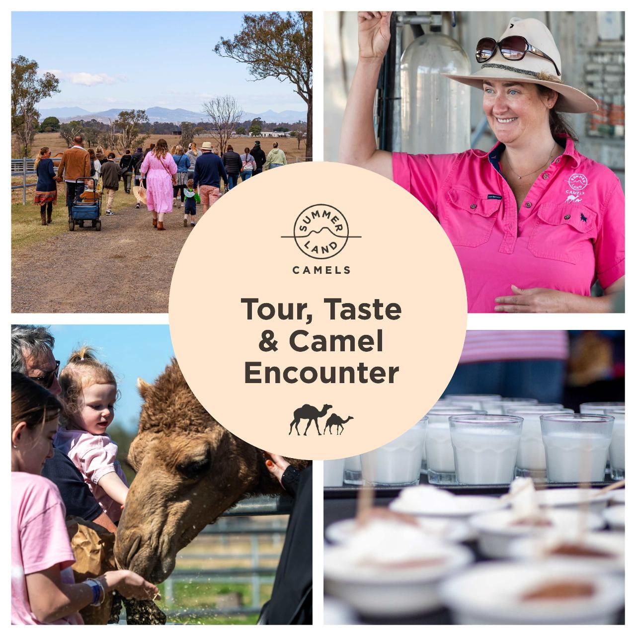 Tour, Taste & Camel Encounter