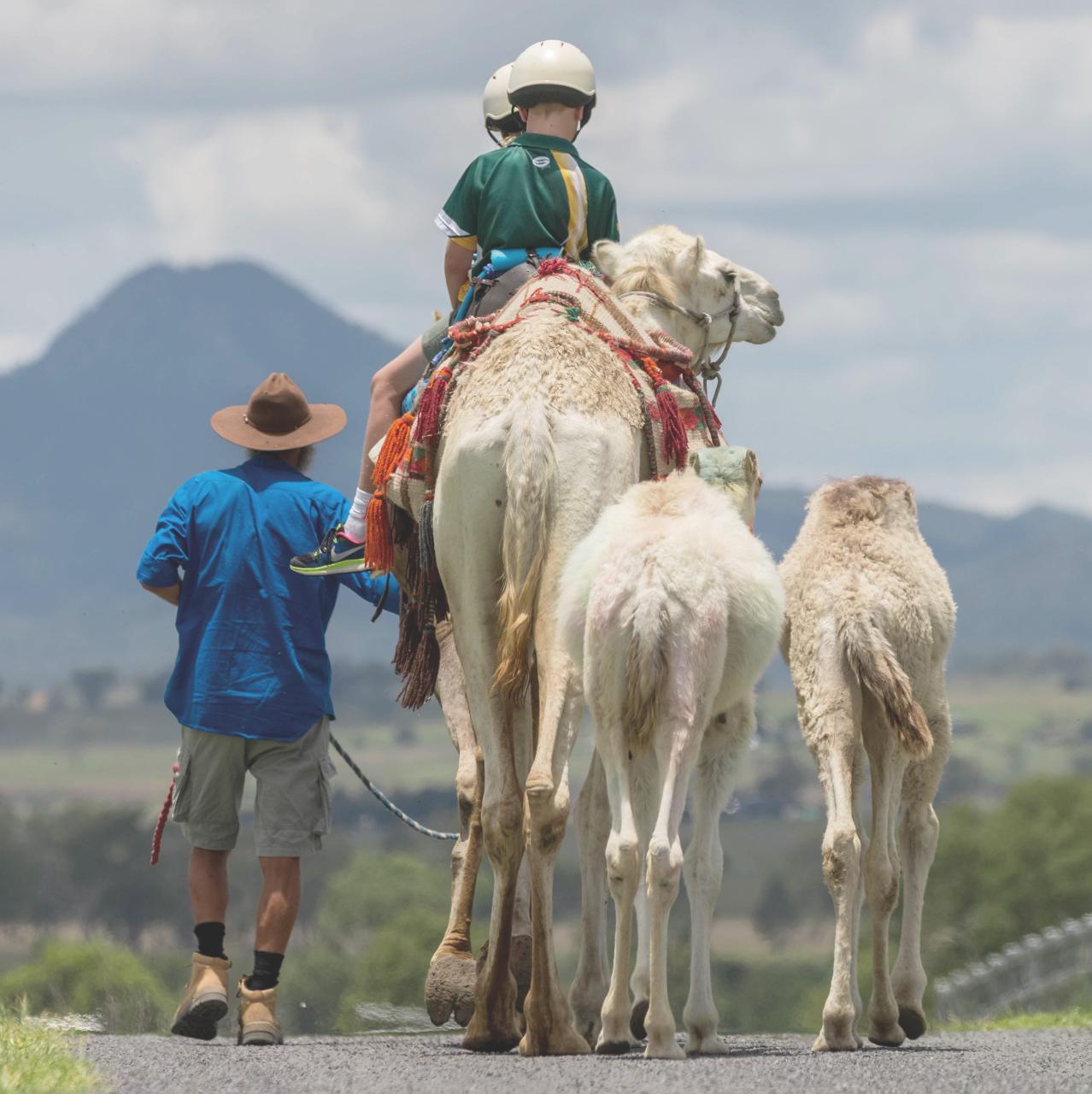 Camel Trail Rides