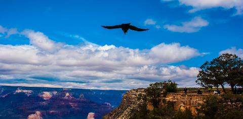 GRAND_CANYON_APRIL_2016_4927A