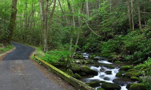 Great_Smoky_Mountains_6_1500x900