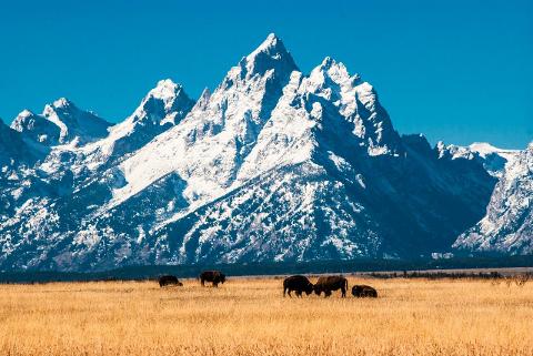 2023 Luxury Yellowstone & Grand Teton Explorer - A "Self Drive" Tour