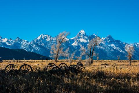 Yellowstone_Fall_Tour___Johnson_0659A