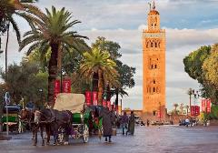Agadir to Marrakech Full Day Tour 