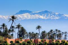 Marrakech : Full-Day Guided City Highlights Tour