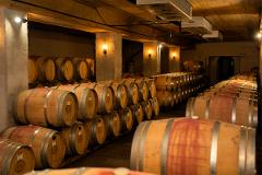 Barrel Cellar Tour & Tasting