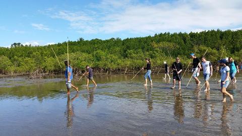 2 Day Daintree Dreaming- Cape Tribulation