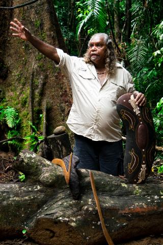Daintree Dreaming - Ngadiku Day Tour