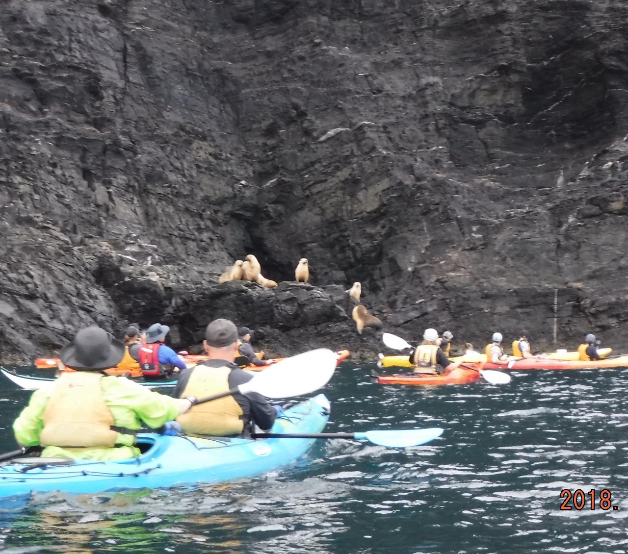 Kayaking