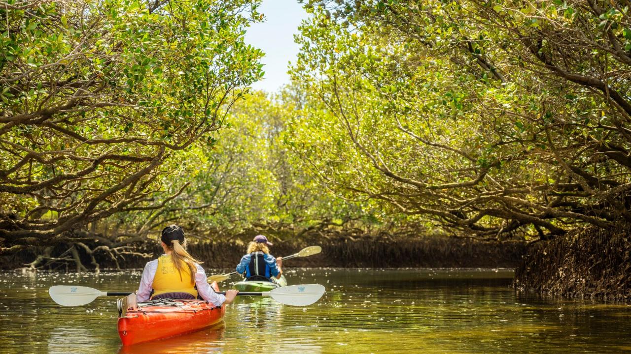 RWCE - Adventure Kayak Adelaide – Full Day Tour Experience