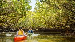 RWCE - Adventure Kayak Adelaide – Full Day Tour Experience