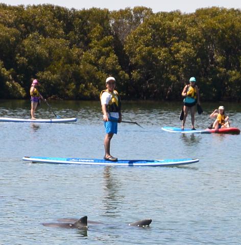 Dolphin Sanctuary SUP Hire