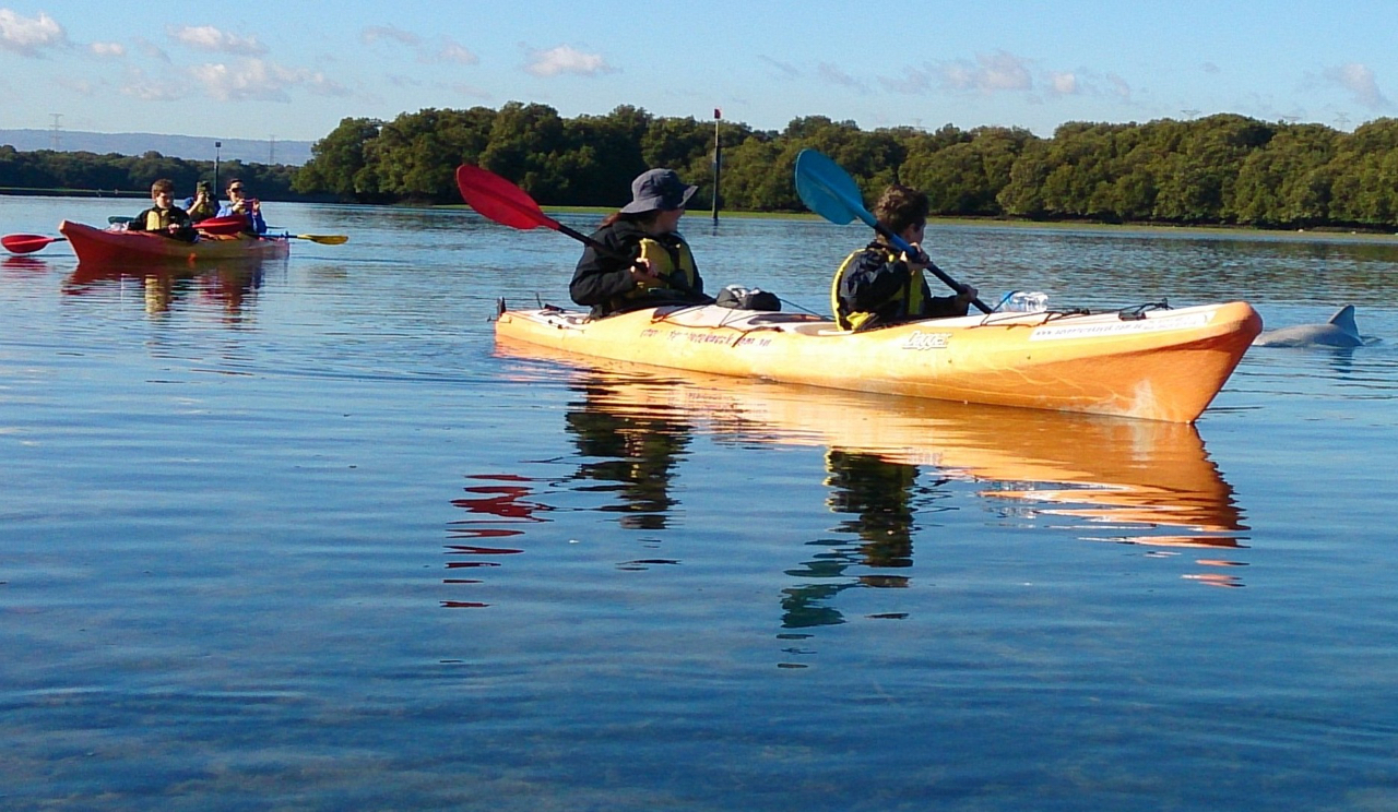 Z-Dolphin Sanctuary & Ships Graveyard 2/3 person kayak hire