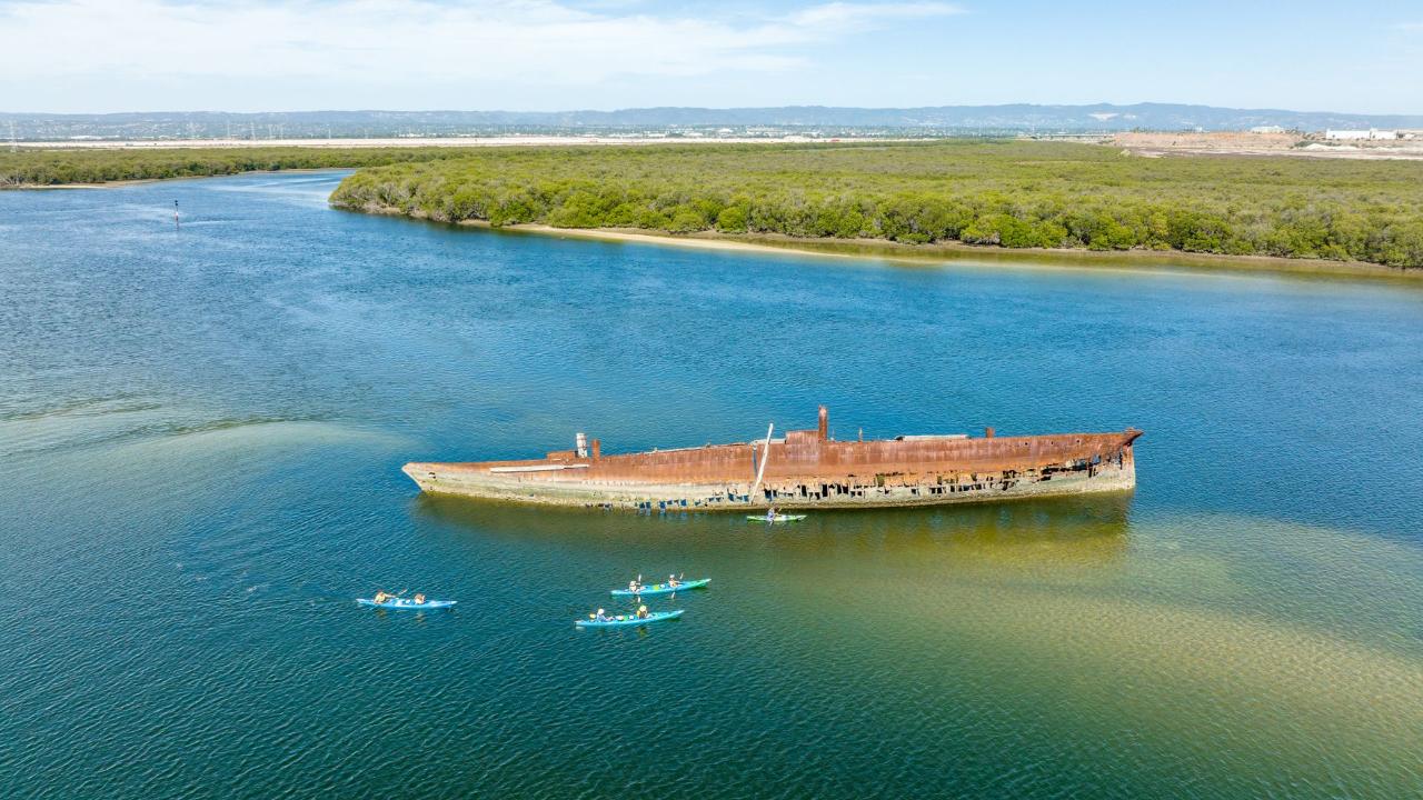 RWCE - Adventure Kayak Adelaide – Half Day Tour Experience