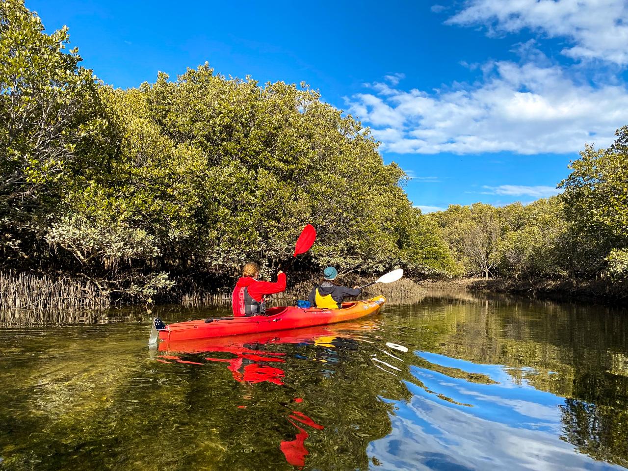 2 Person Kayak Hire (up to 2 hours) Adventure Kayaking SA Reservations