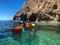 Rapid Bay Sea Kayaking Tour (up to 6 hours)