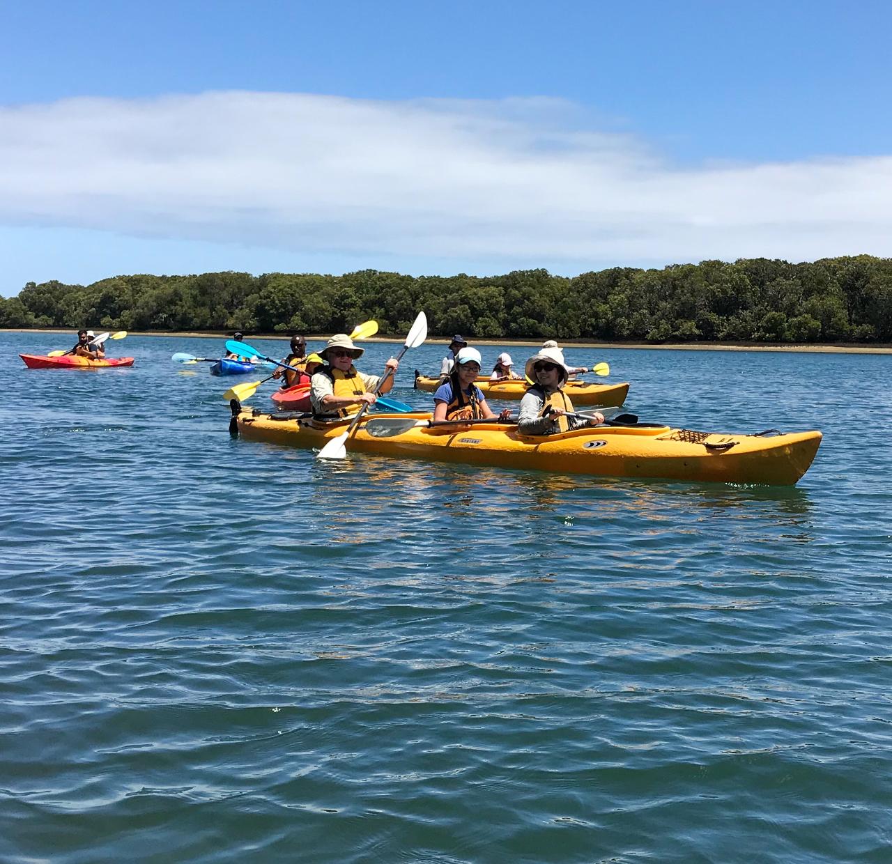 Adventure Kayaking SA Family Tour in Adelaide Dolphin Sanctuary