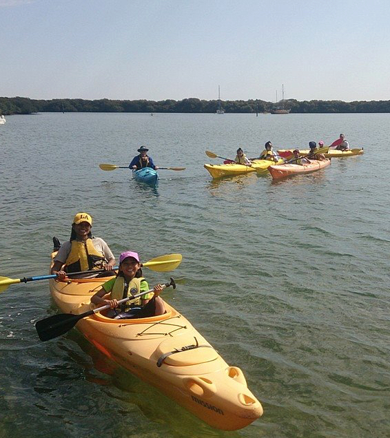 Dolphin Sanctuary Family Tour