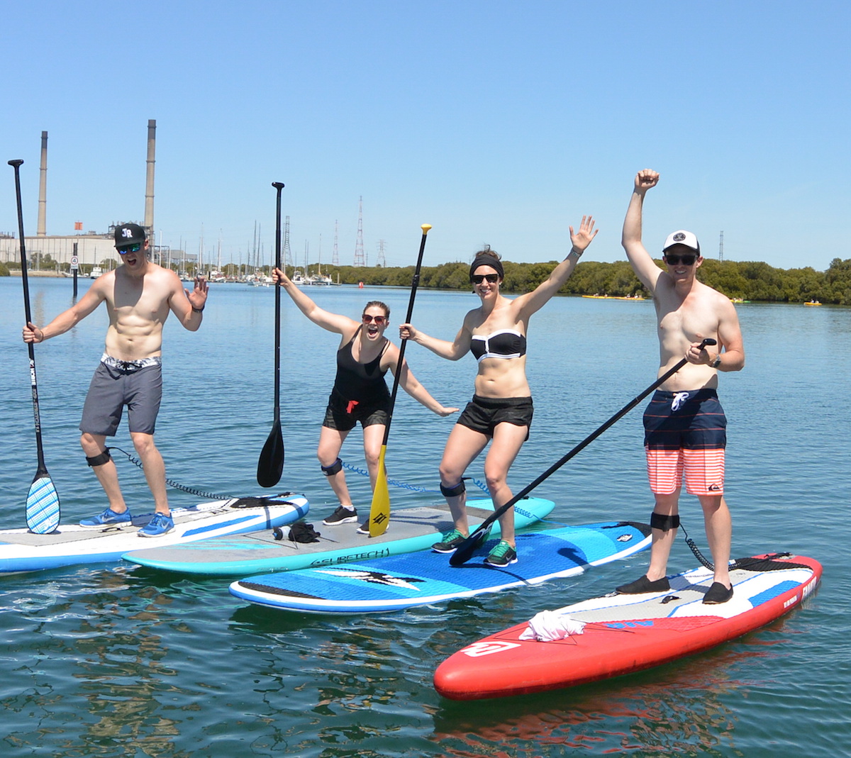 Dolphin Sanctuary SUP Tour