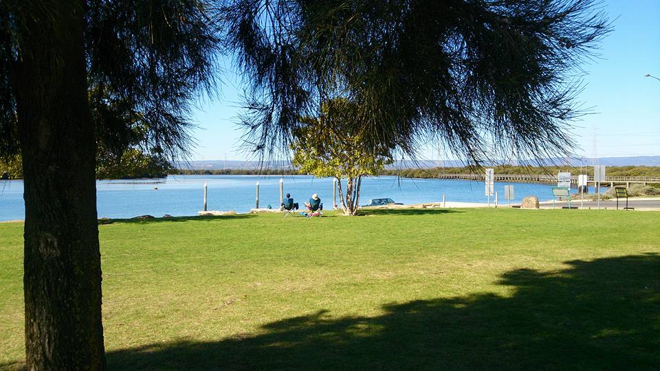 Dolphin Sanctuary SUP Experience (up to 2 hours)